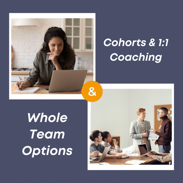 Cohorts & 1:1 Coaching & Whole Team Options